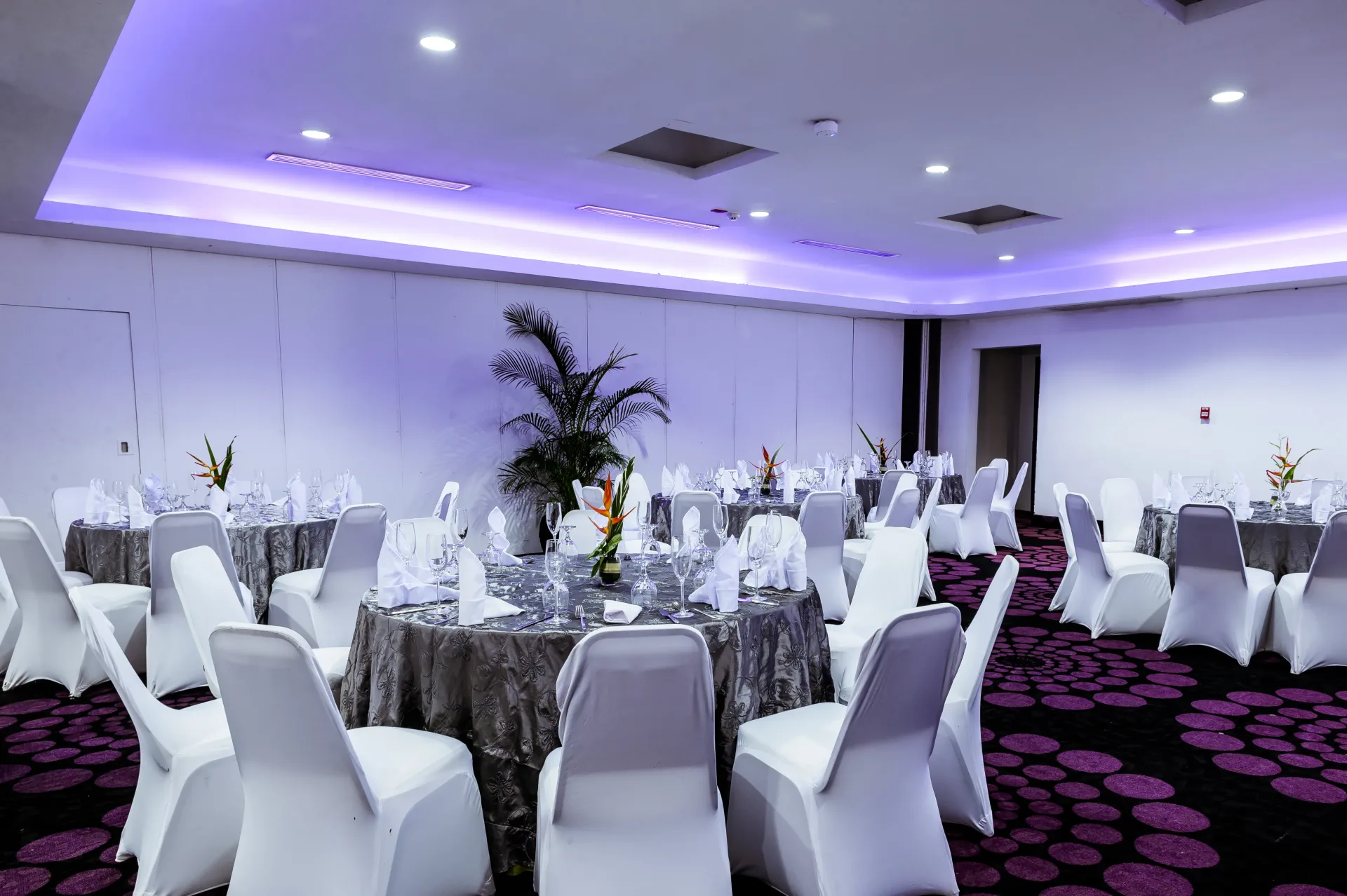 Gran Salon Tocumen